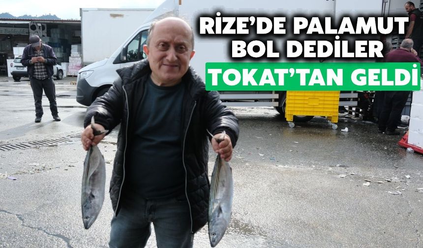Tokat'tan Rize'ye Palamut İçin Geldi!