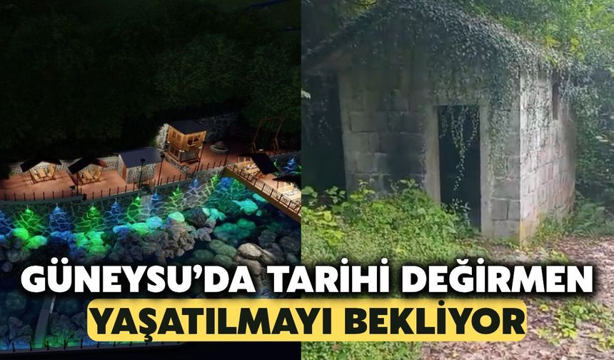 Rize'de Tarihi Değirmen Yeniden Yaşatılmayı Bekliyor