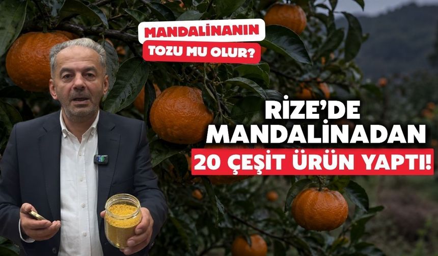 Mandalinanın Tozu Olur Mu Demeyin? Macundan Turşuya Kadar Çeşidi Var