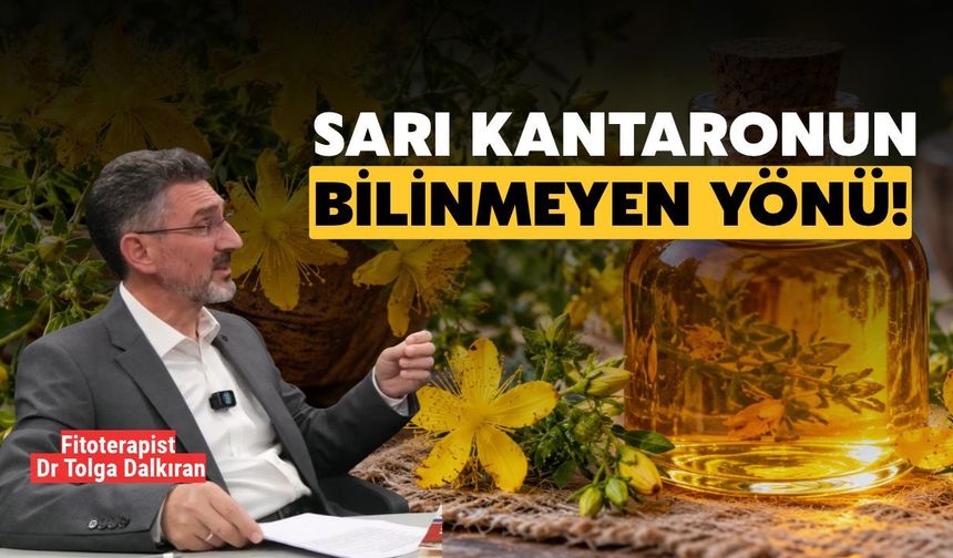 Bitkilerle Tedavi Yöntemi Nasıl Olmalı?