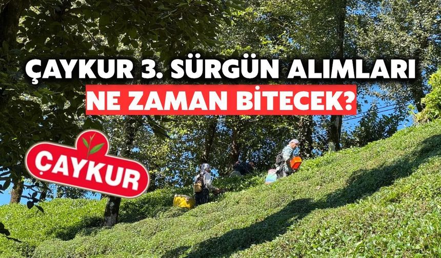 Çaykur 3. Sürgün Alımlarını Tamamlıyor