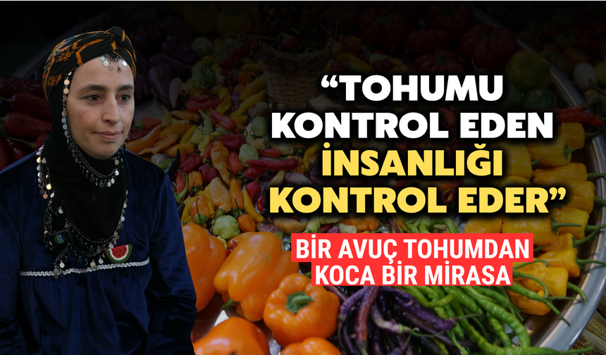 Rize'de Ata Tohumlarını Gelecek Nesillere Aktarmak İçin Yetiştiriyor