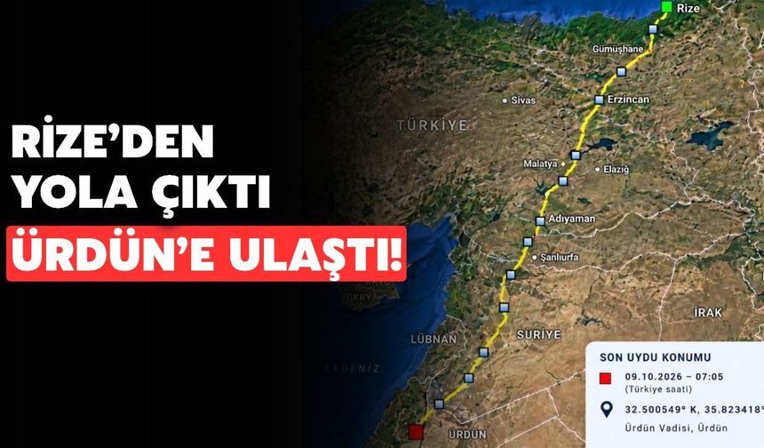 Rize’de Doğaya Salınan Arı Şahini Ürdün’e Ulaştı