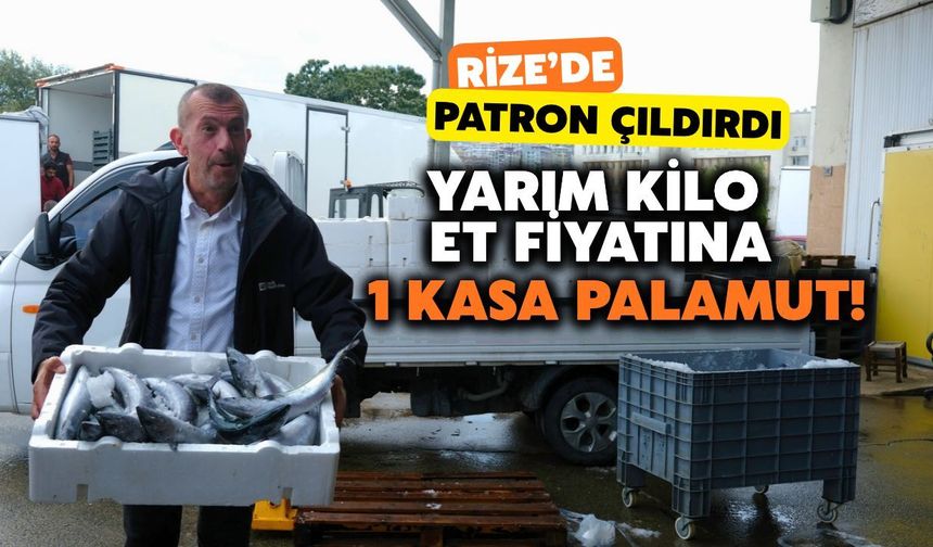 İnanılmaz Ama Gerçek: Rize'de Yarım Kilo Et Fiyatına Bir Kasa Palamut!