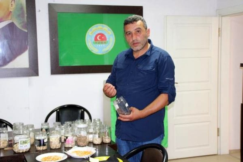 Fındıklı'da Ata Tohumları Toprakla Buluşturuluyor