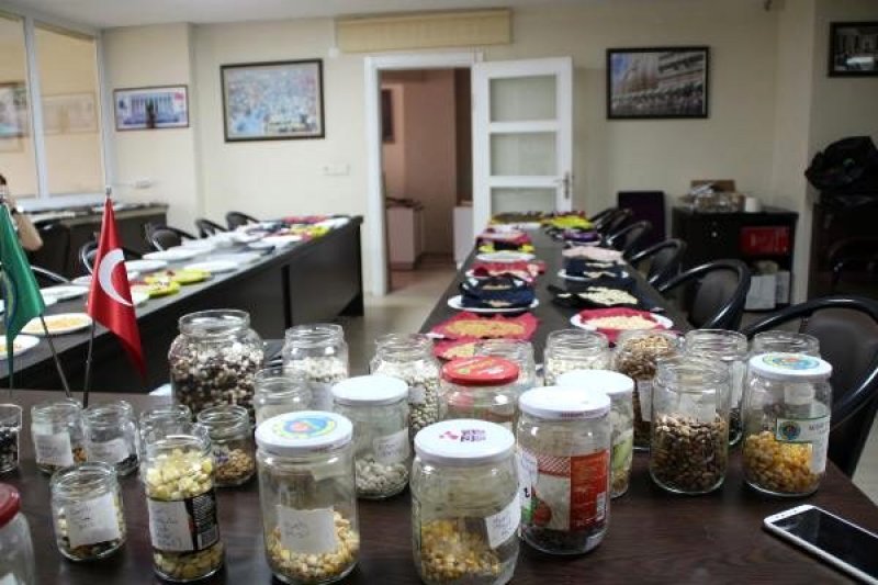 Fındıklı'da Ata Tohumları Toprakla Buluşturuluyor