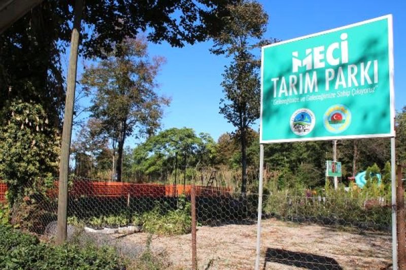 Fındıklı'da Ata Tohumları Toprakla Buluşturuluyor