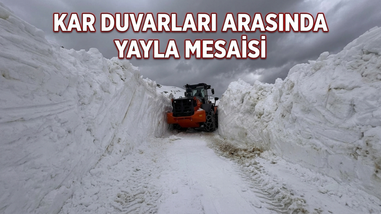Kar Duvarları Arasında Yayla Mesaisi