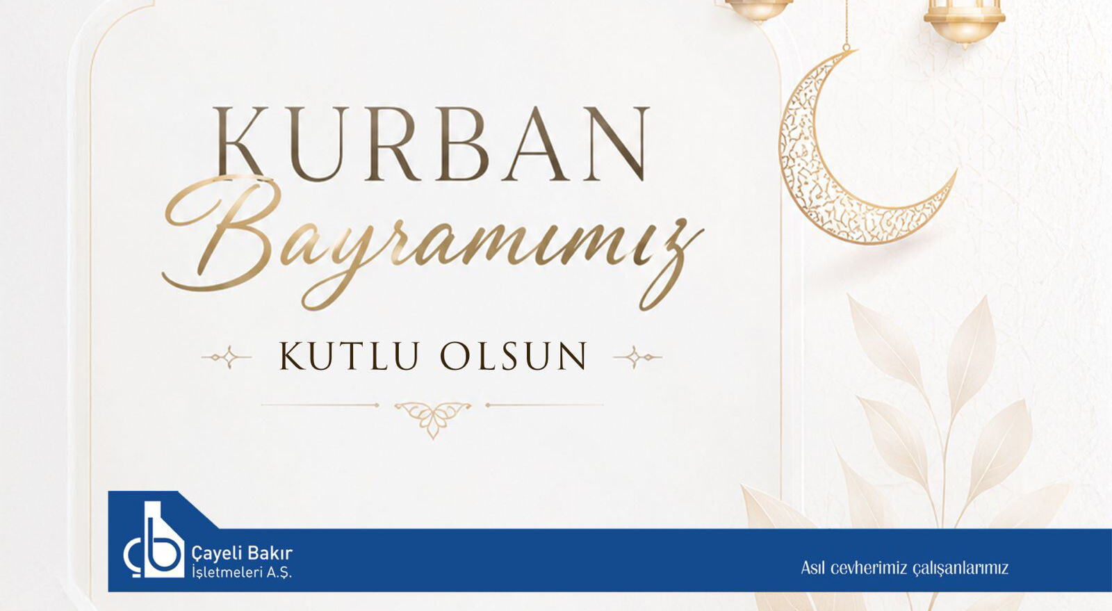 Reklam Bloğu