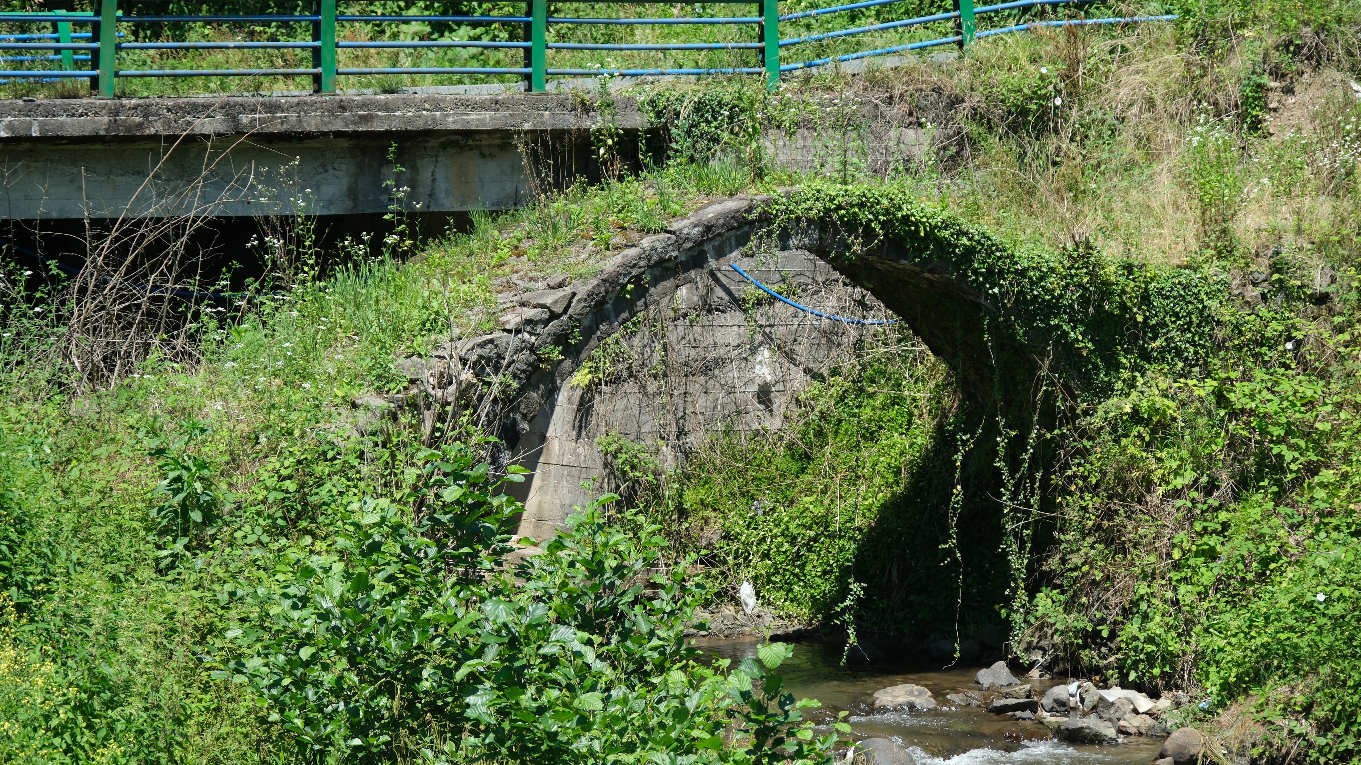Denizgören (7)