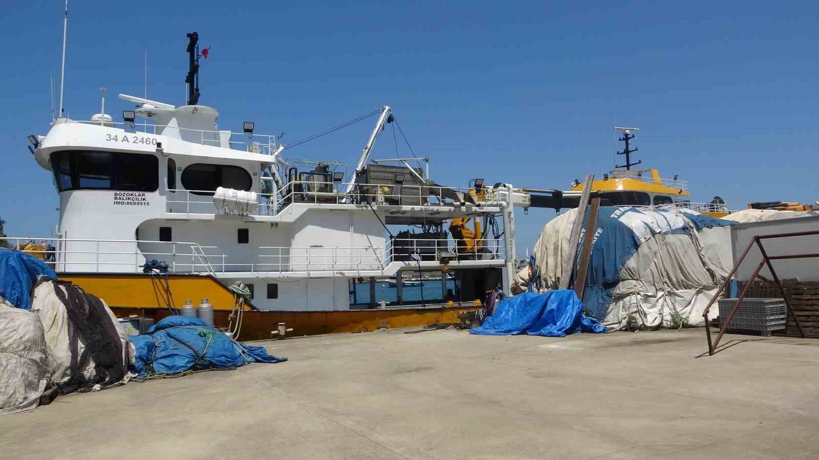 Balıkçıların Yeni Sezonda Umudu Palamut