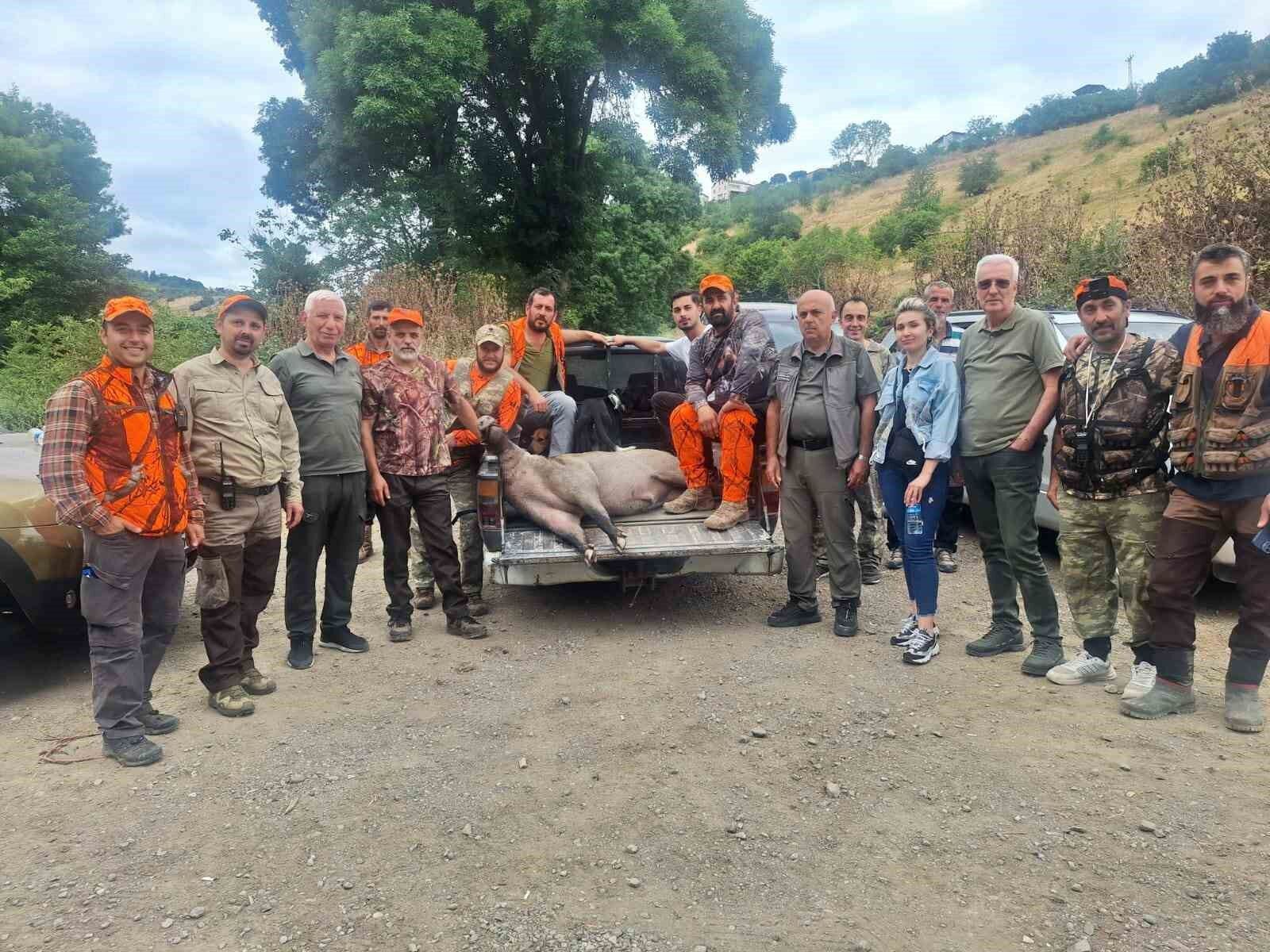 Fındık Sezonu Öncesi Domuz Alarmı