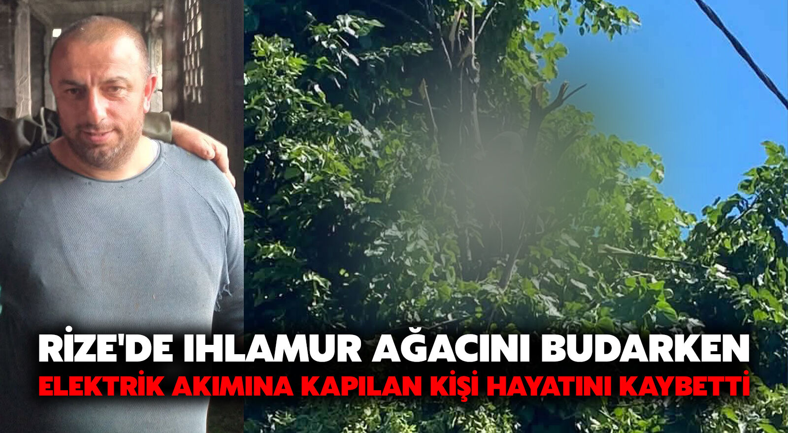 Rize'de Ihlamur Ağacını Budarken Elektrik Akımına Kapılan Kişi Hayatını Kaybetti