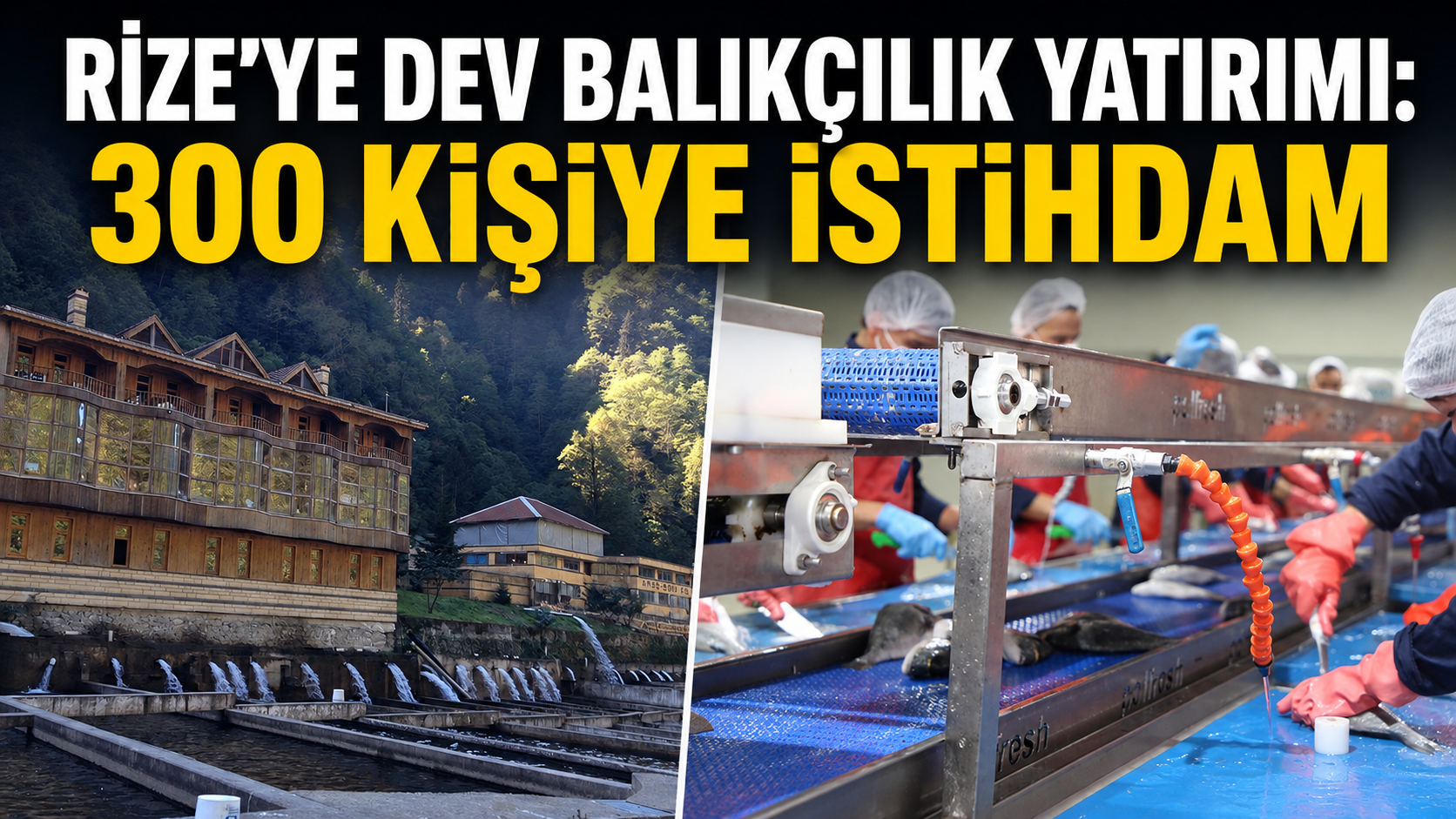 Rize’ye Dev Balıkçılık Yatırımı: 300 Kişiye İstihdam