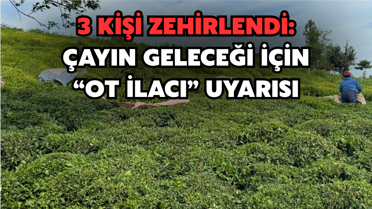 3 Kişi Zehirlendi: Çayın Geleceği İçin "Ot İlacı" Uyarısı