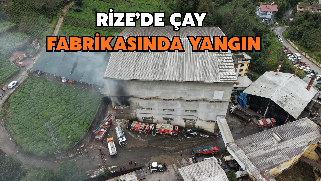 Çayeli'de Fabrika Yangını