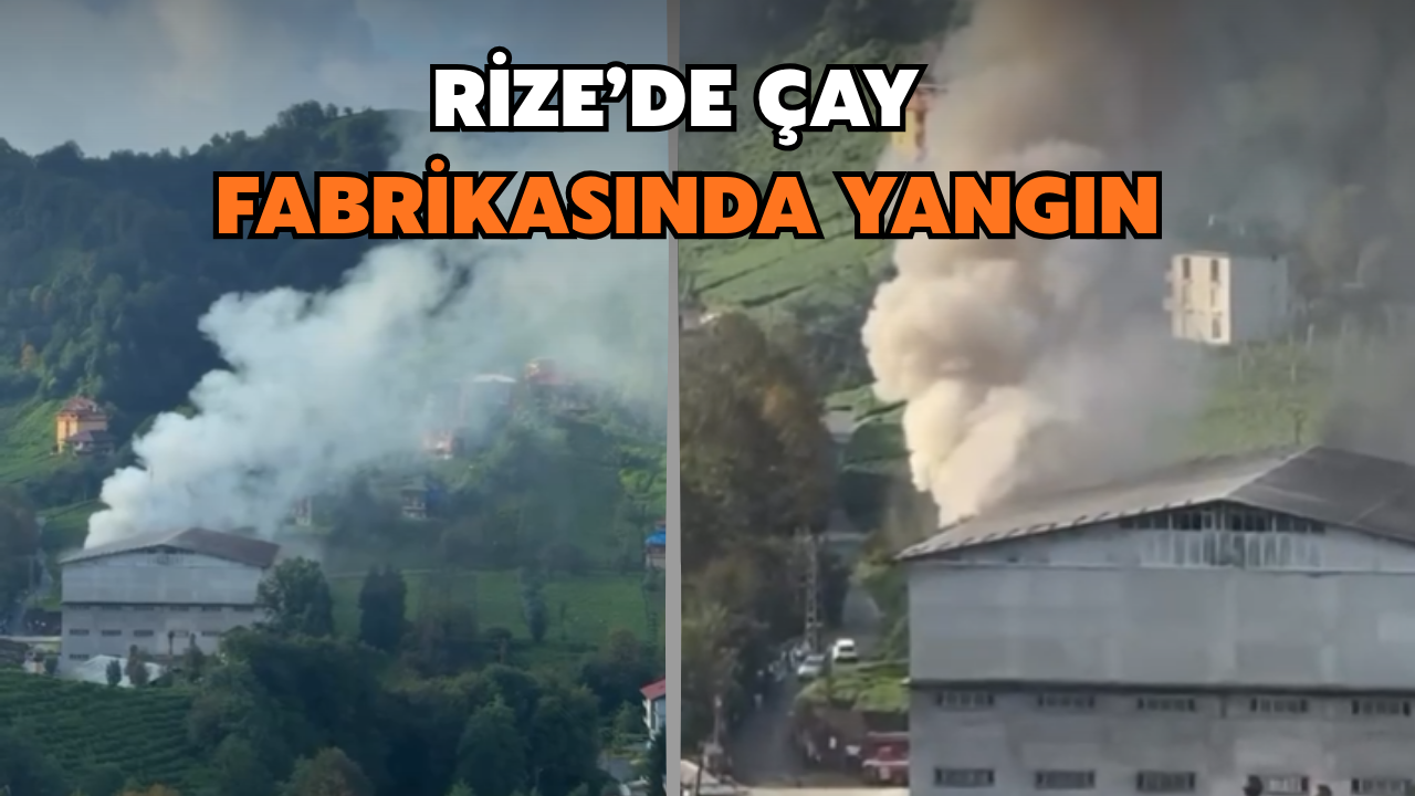 Rize'de Çay Fabrikasında Yangın