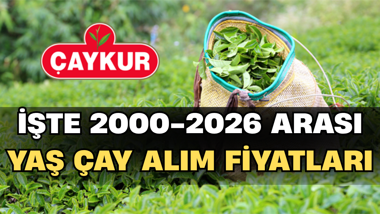 İşte 2000-2026 Arası Yaş Çay Alım Fiyatları