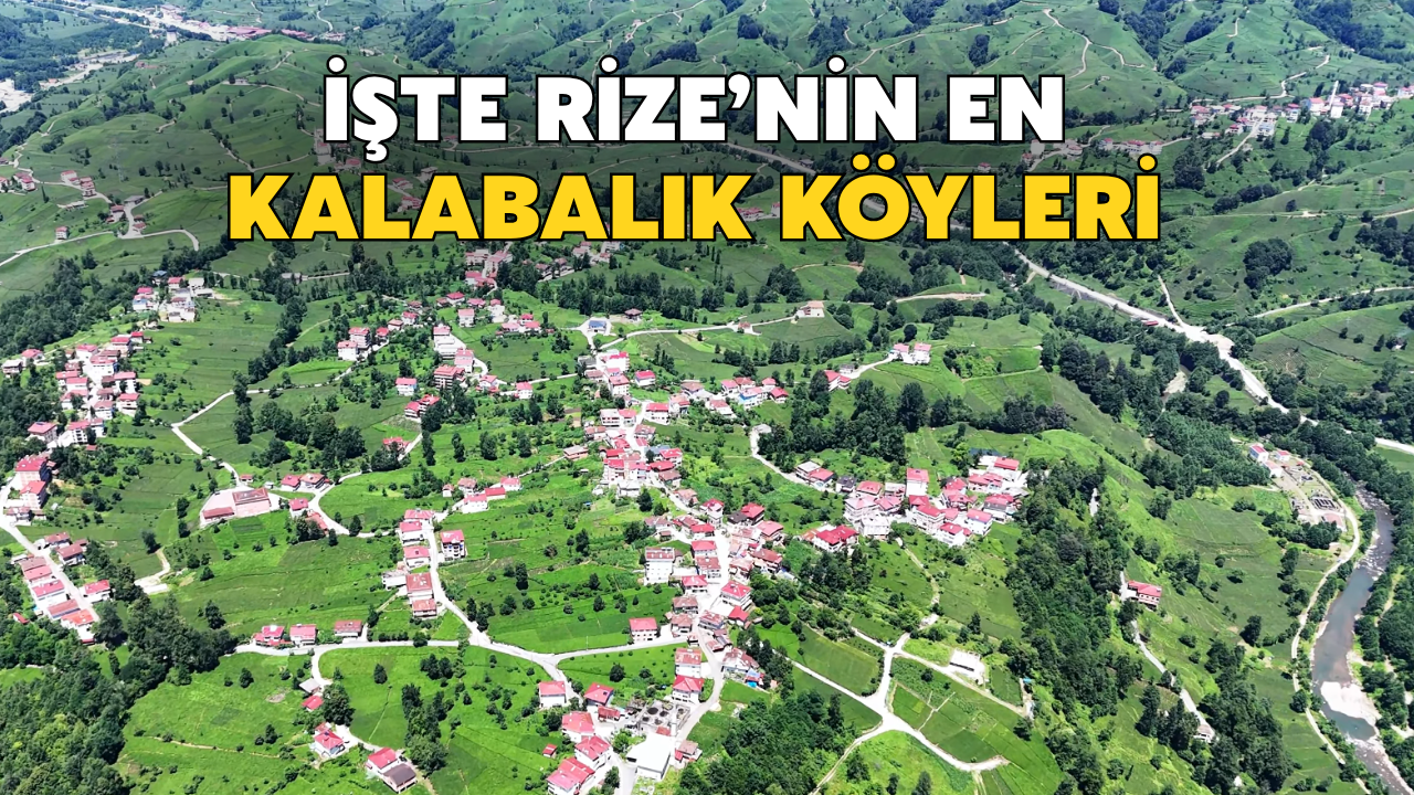Köyden Şehre Göç Sürüyor: İşte Rize’nin En Kalabalık 20 Köyü