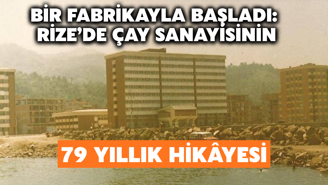 Bir Fabrikayla Başladı: Rize’de Çay Sanayisinin 79 Yıllık Hikâyesi