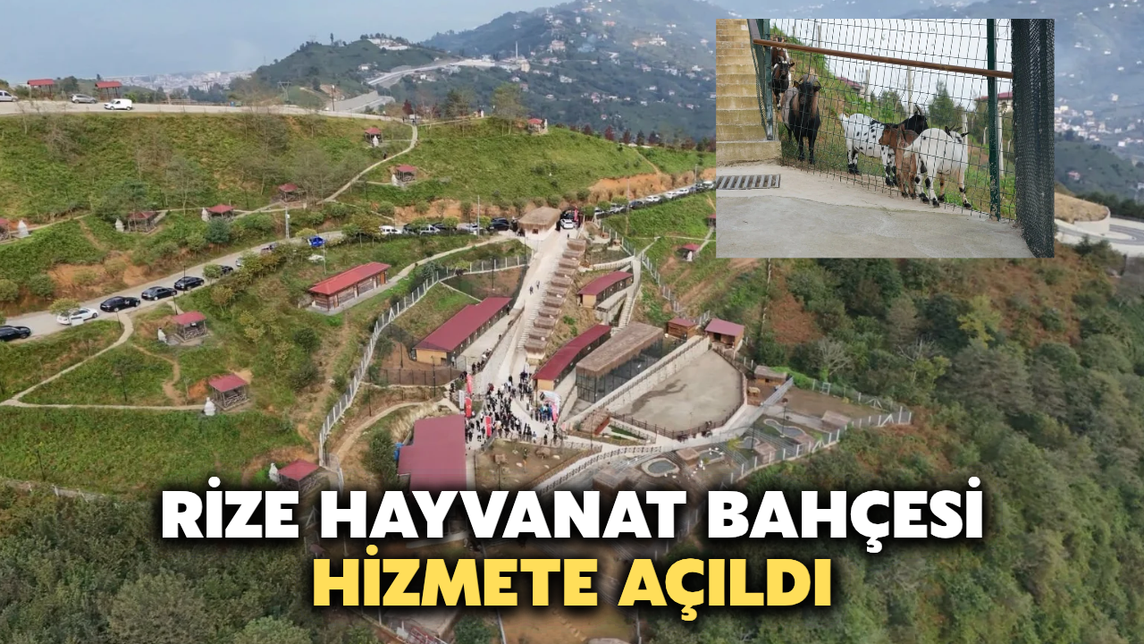 Rize Isırlık Hobi Hayvanat Bahçesi Hizmete Açıldı