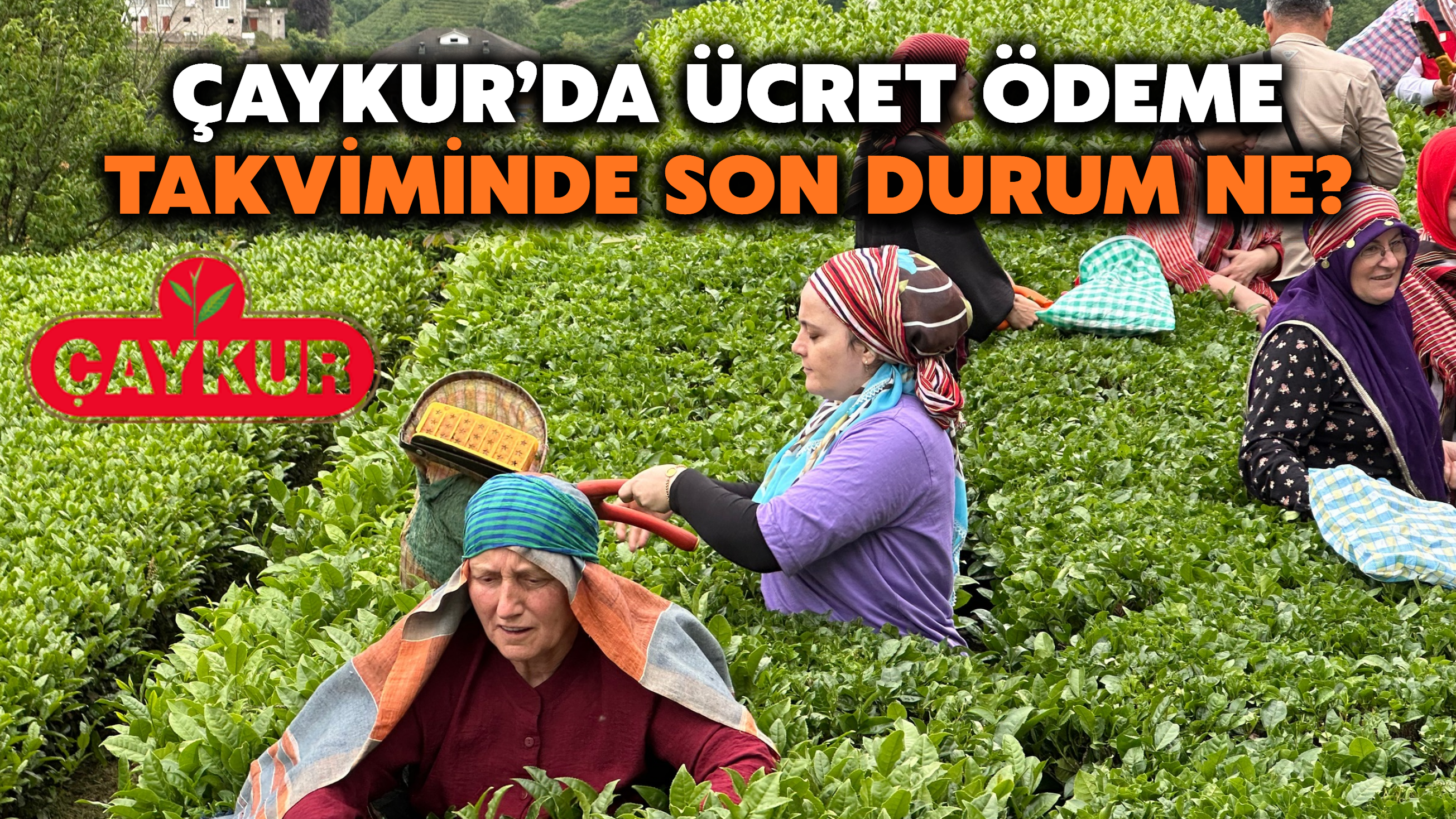 Çaykur’da Ücret Ödeme Takviminde Son Durum Ne?